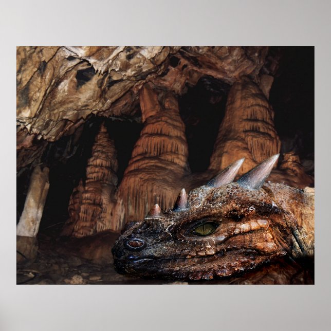 Póster Dragón de cuevas (Frente)