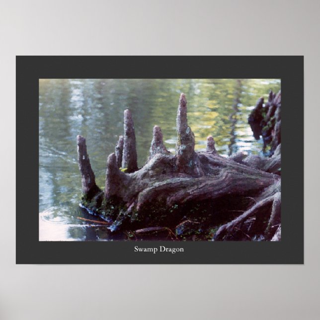 Póster Dragón de pantano (Frente)
