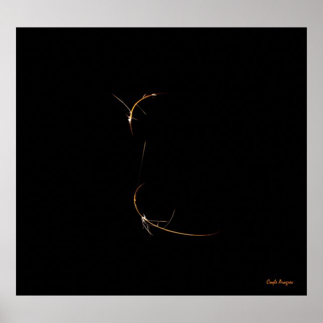 Póster Dragón durmiente (Frente)