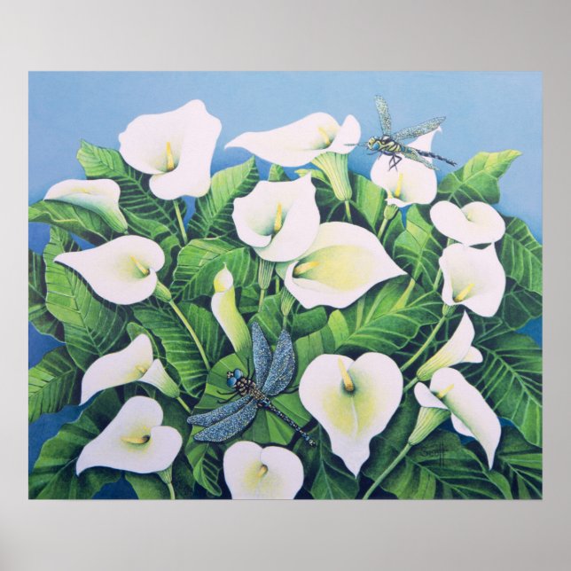 Póster Dragon Flies (Frente)