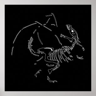 Póster Dragon Fossils