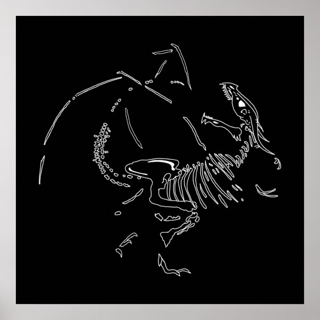 Póster Dragon Fossils (Frente)