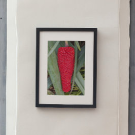 Póster Dragon Lily Red Seed Head