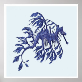 Póster Dragón marino costero