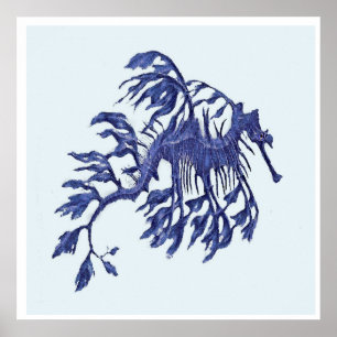 Póster Dragón marino costero