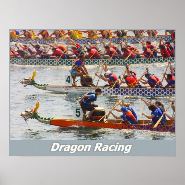 Póster Dragon Racing (Frente)