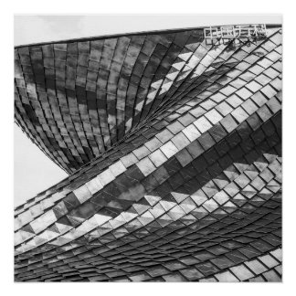 Póster dragon reflexes