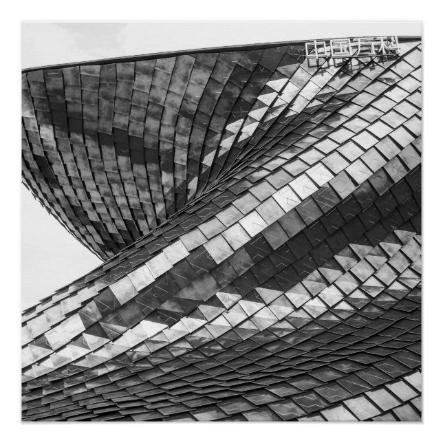 Póster dragon reflexes (Anverso)