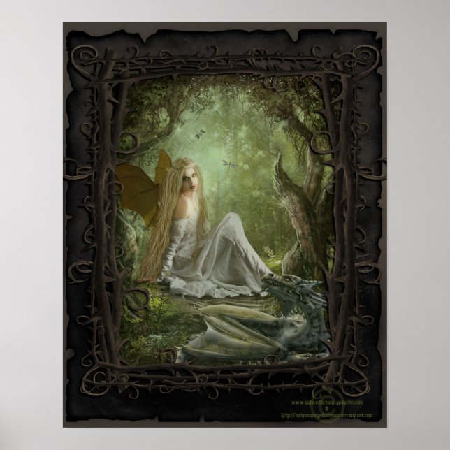 Póster Dragon Tamer (Frente)