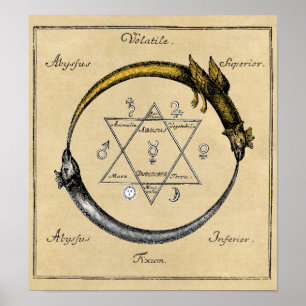 Póster Dragón y la serpiente Ouroboros Mandala