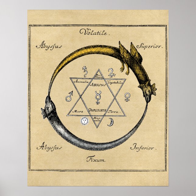 Póster Dragón y serpiente Ouroboros Mandala (Frente)