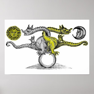 Póster Dragones de Oro y Plata