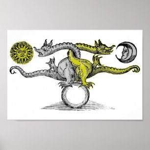 Póster Dragones dorados y plateados