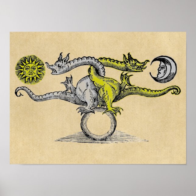 Póster Dragones mágicos de oro y plata (Frente)