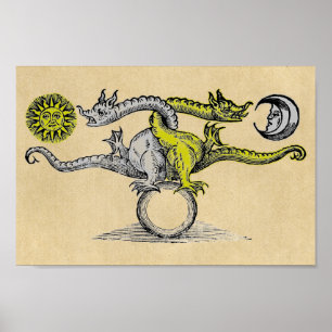 Póster Dragones mágicos de oro y plata