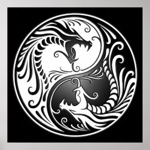 Póster Dragones Yin Yang, blancos y negros