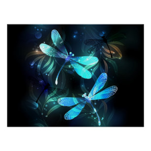 Póster Dragonflies