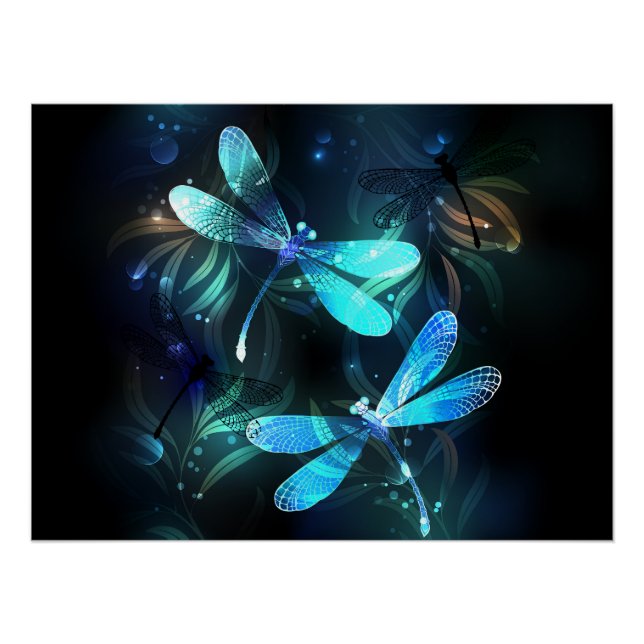 Póster Dragonflies (Anverso)