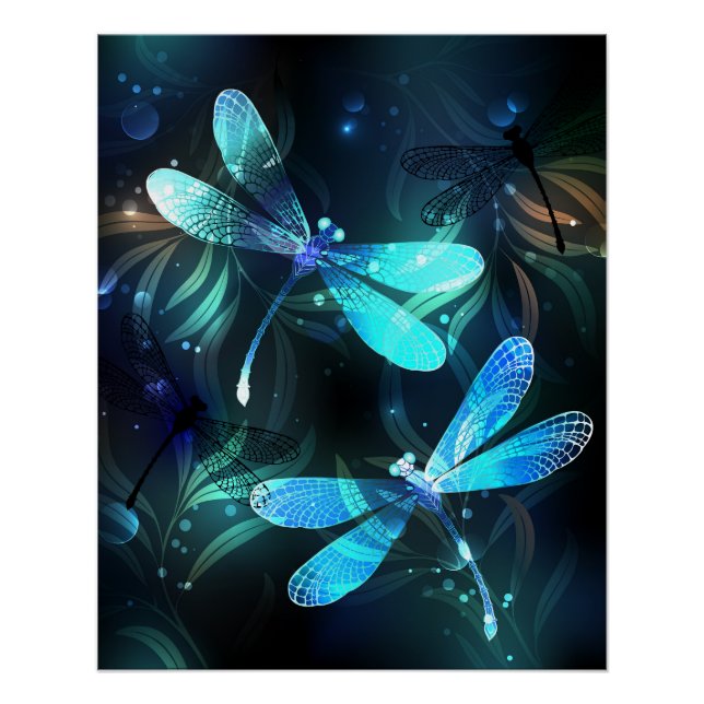 Póster Dragonflies (Anverso)