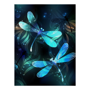Póster Dragonflies