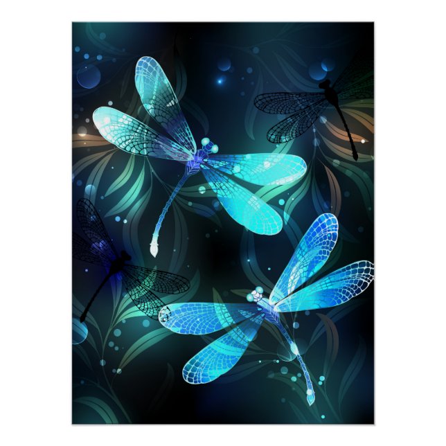 Póster Dragonflies (Anverso)