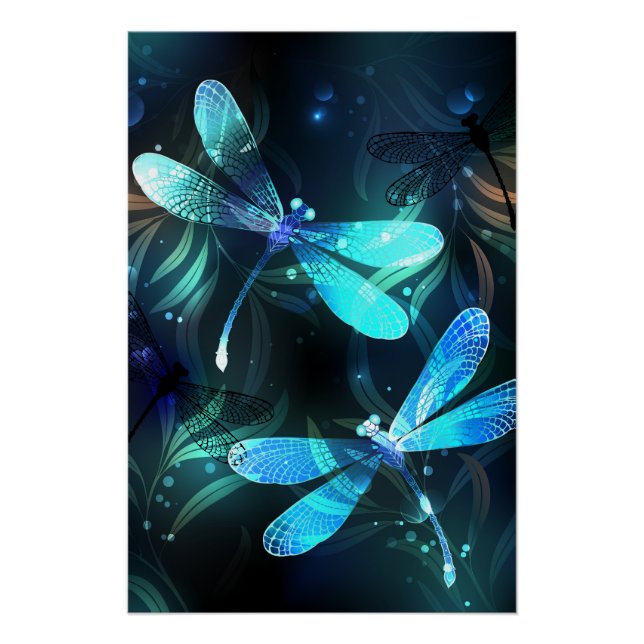 Póster Dragonflies (Anverso)