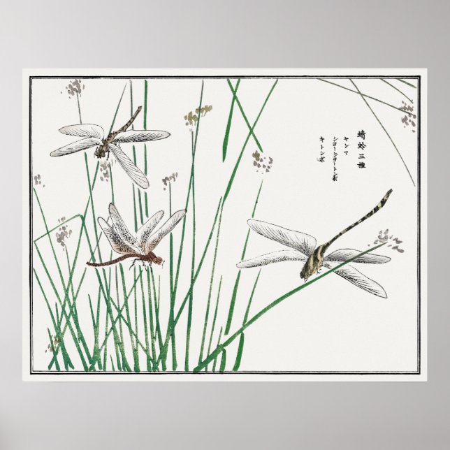 Póster Dragonflies and Reed Grass, de Morimoto Toko, (Frente)