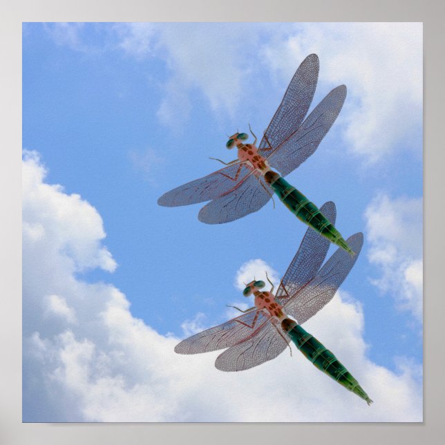 Póster Dragonflies Cielo Azul Y Nubes Blancas (Frente)