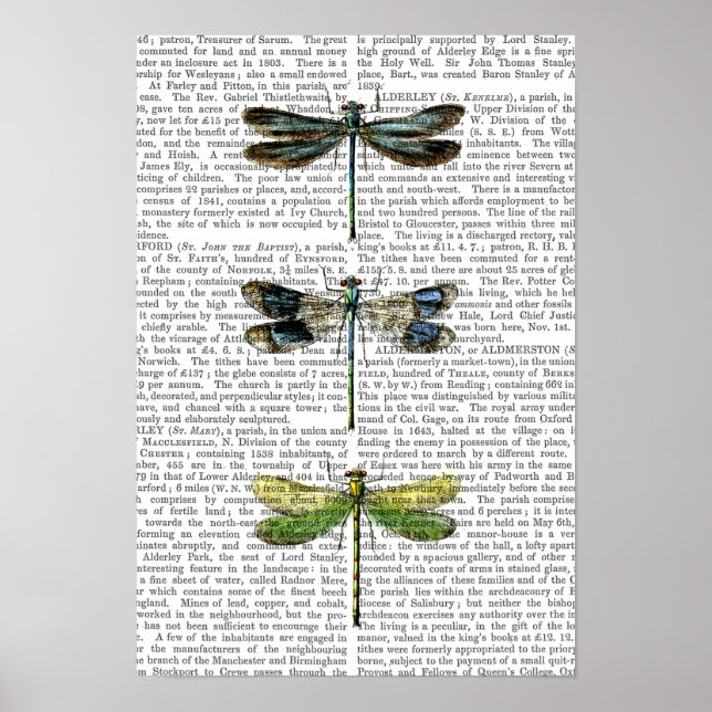 Póster Dragonflies Print 3 (Frente)