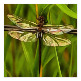Póster Dragonfly Artificial En Marrón Y Amarillo En Verde