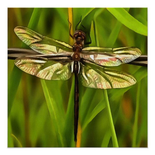 Póster Dragonfly Artificial En Marrón Y Amarillo En Verde (Anverso)