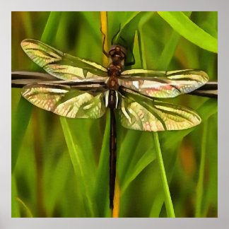 Póster Dragonfly Artificial En Marrón Y Amarillo En Verde