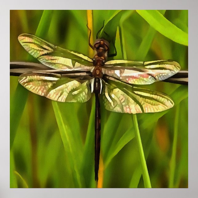Póster Dragonfly Artificial En Marrón Y Amarillo En Verde (Frente)