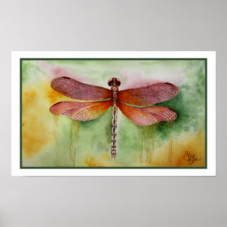 Póster Dragonfly de sol