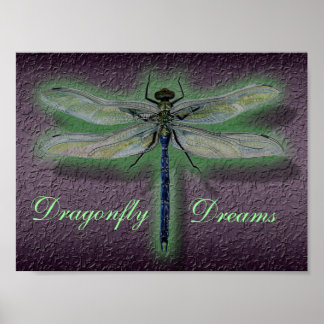 Póster Dragonfly Dreams Poster