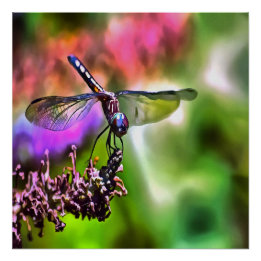 Póster Dragonfly en pintura realista verde y azul