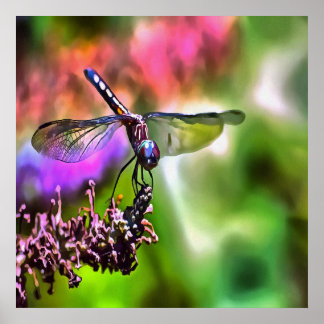 Póster Dragonfly en pintura realista verde y azul