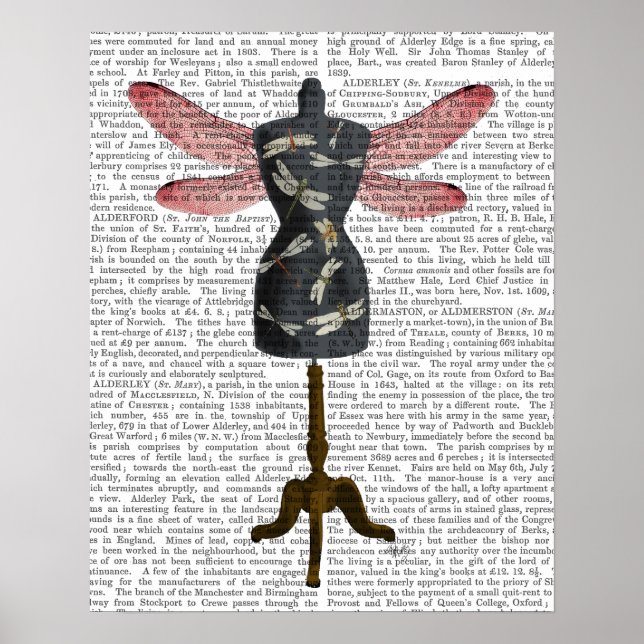 Póster Dragonfly Mannequin (Frente)