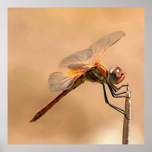 Póster Dragonfly pintado aislado contra Ecru (Frente)