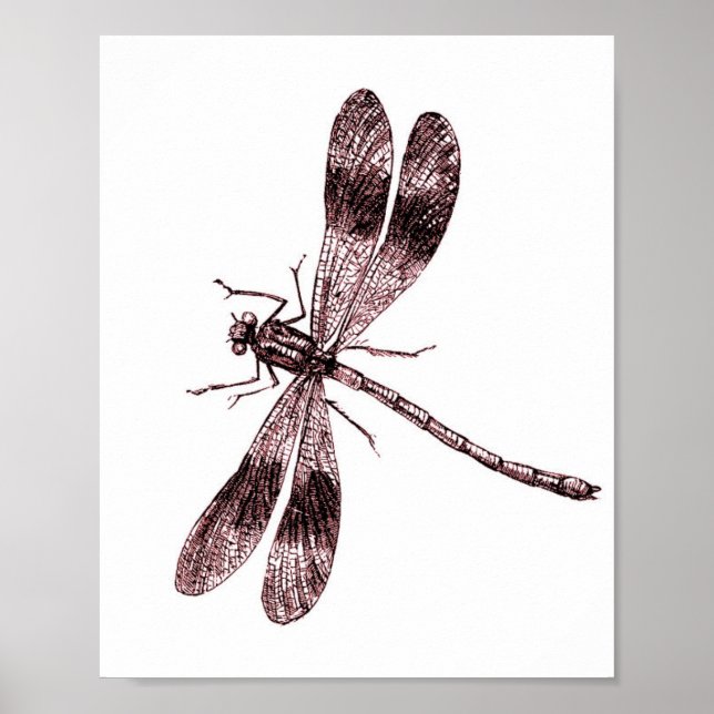 Póster Dragonfly vintage - Rojo (Frente)