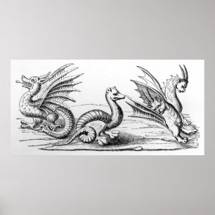 Póster Dragons