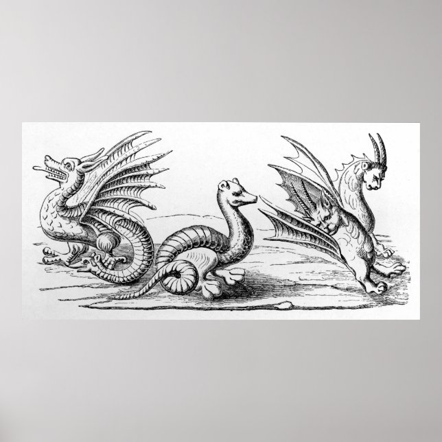 Póster Dragons (Frente)