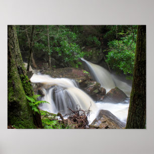 Póster Drake Creek Falls