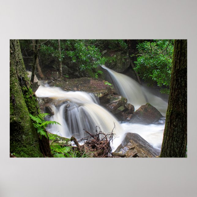 Póster Drake Creek Falls (Frente)