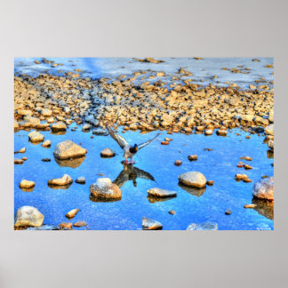 Póster Drake de avenida de malecón y foto de reflexión so