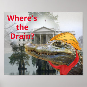 Póster Drake the Swamp white house Trump reptile