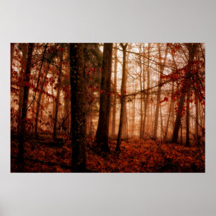 Póster Dramatic red foggy winter snowless forest
