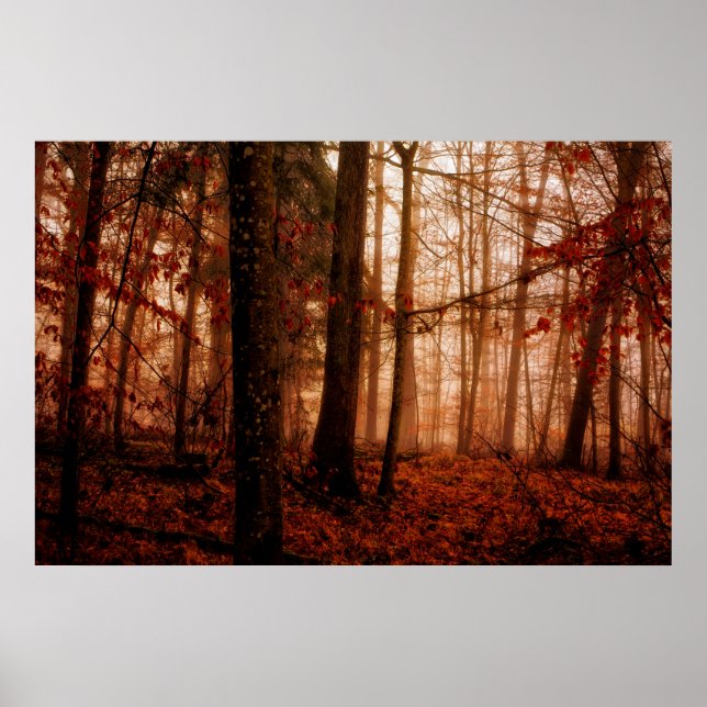 Póster Dramatic red foggy winter snowless forest (Frente)