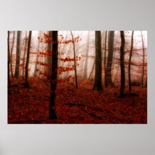 Póster Dramatic red foggy winter snowless forest