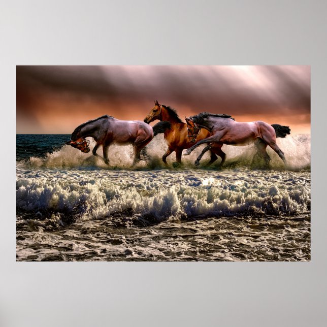 Póster Dramática fotografía de caballos corriendo en una  (Frente)